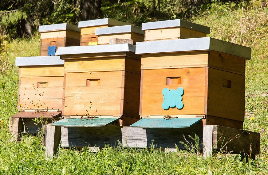 Thumbnail: Miele di Montagna Millefiori Wildflower Mountain Honey