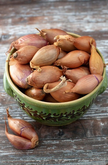 Thumbnail: Scalogno di Romagna IGP Shallots of Romagna PGI