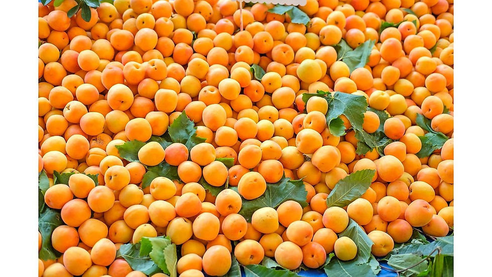 Miniatyrbild: Albicocche sciroppate al Trebbiano  Apricots in Trebbiano syrup