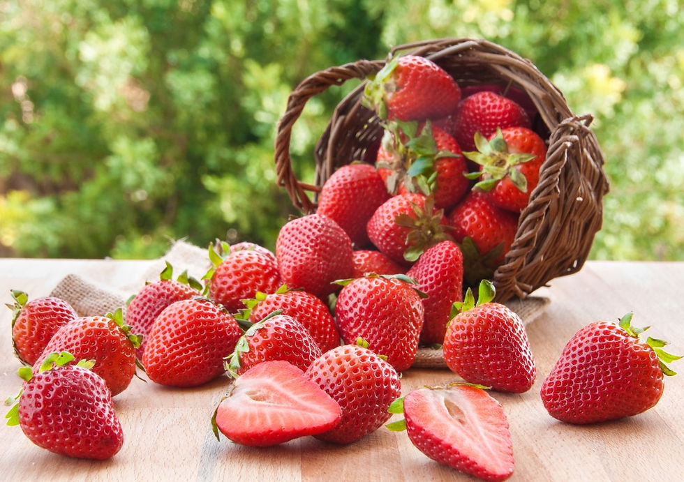 Miniaturbild: Nettare di Fragole di Montagna Biologico   Organic Mountain Strawberry Nectar