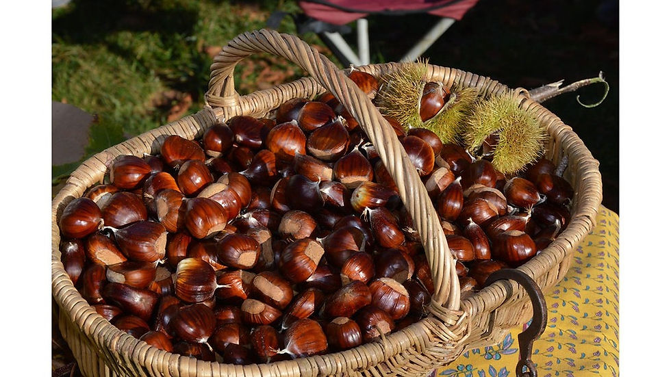 Miniatura: Crema di Marroni artigianale di Montagna   Homemade Mountain Chestnut Cream