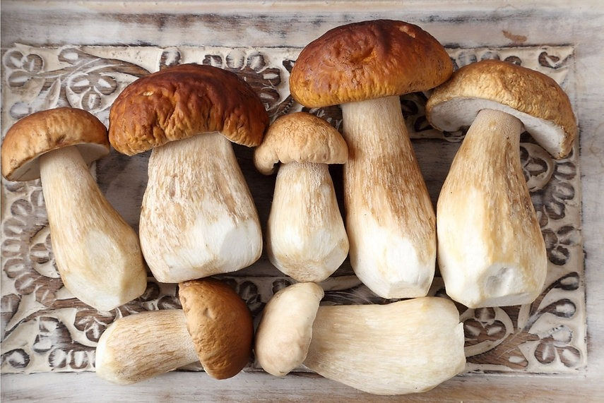 Miniatura: Crema Tartufata con Porcini Truffle cream with porcini mushrooms