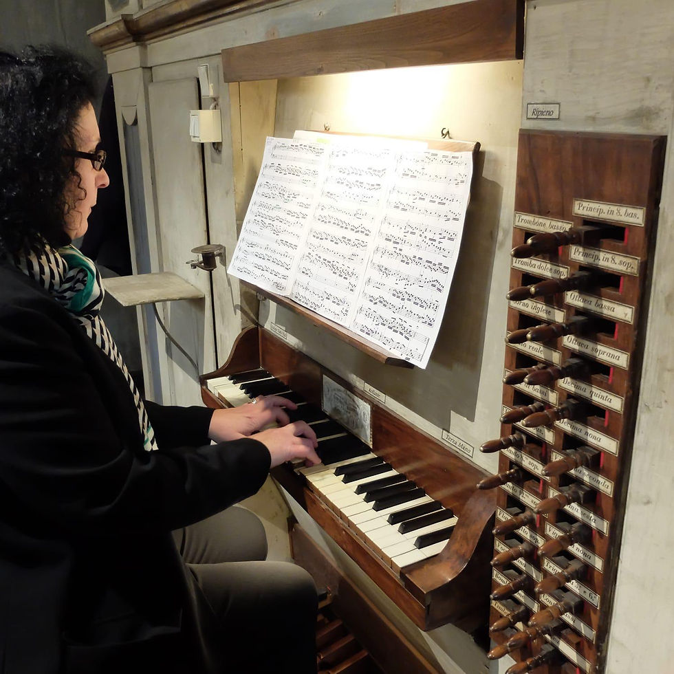 Concerto d'Organo e Visita alla chiesa di San Francesco in Rocca a Sassuolo