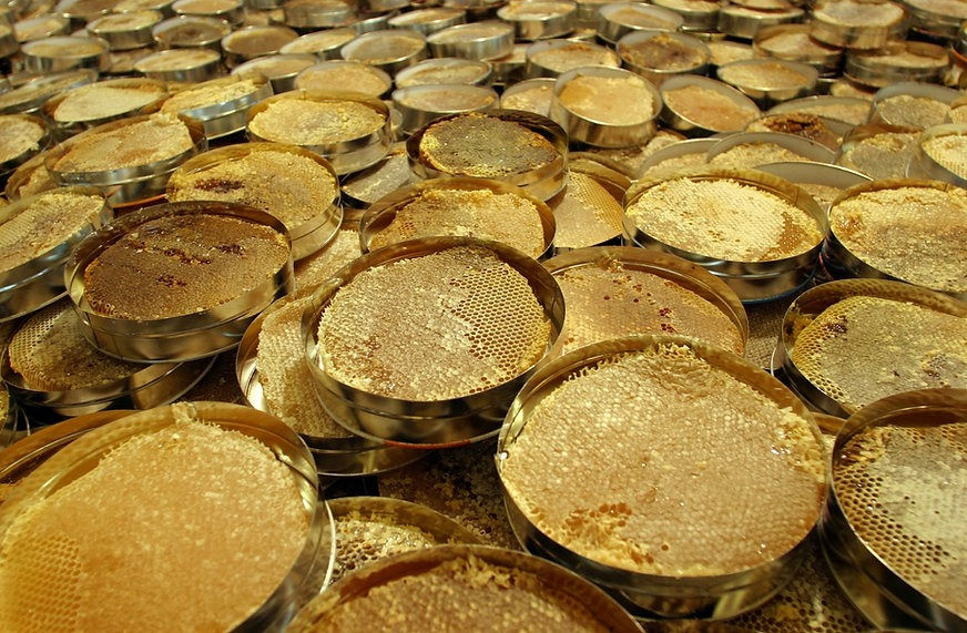 Miniaturbild: Miele Italiano Edera Italian Ivy honey