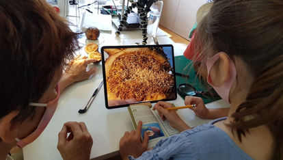 Plant learning with botanist