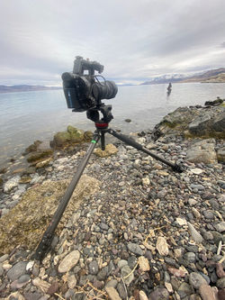 Generikal Design - Lake Tahoe, Truckee, Reno, Northern California Video & Photo Production
