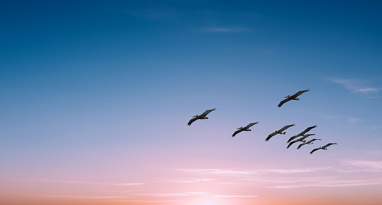 AdobeStock_169879755.jpeg