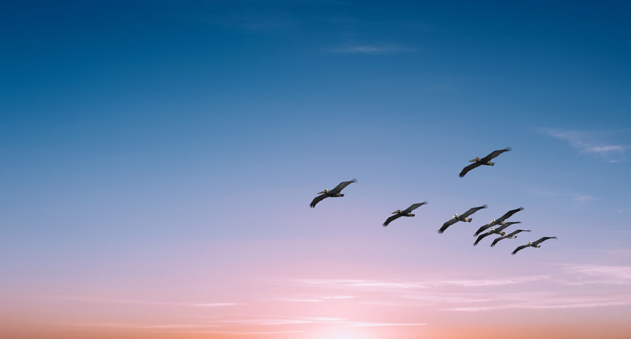AdobeStock_169879755.jpeg