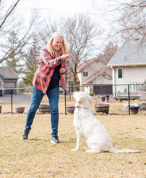 trainer-asking-dog-to-sit.jpg