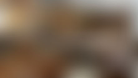 INSS, fraudes e o colapso do sistema