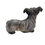 Miniaturebillede: Nr: 1102 - Hund Skye Terrier - Dahl Jensen