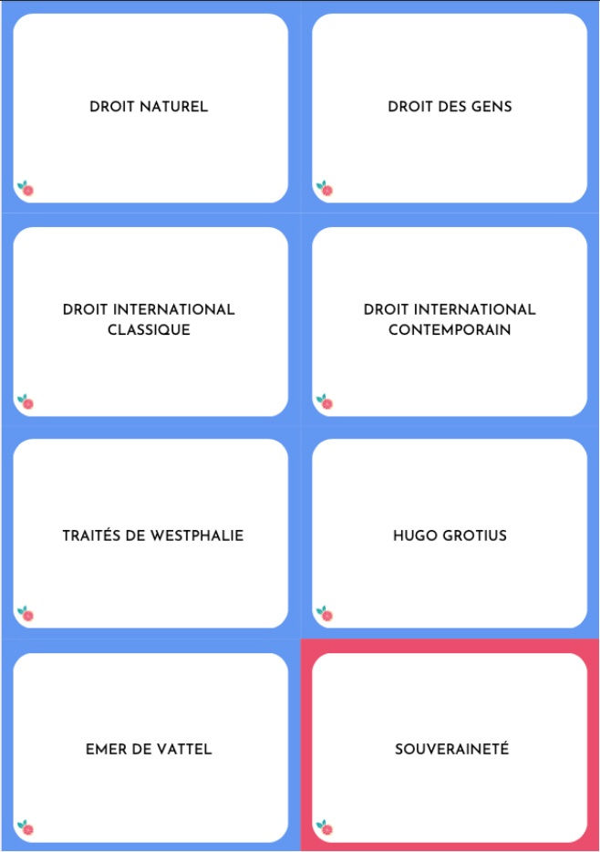 Miniature : extrait flashcards droit international public pdf gratuit