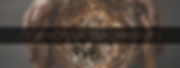 BUSINESS ASCENSION BASICS (2).png