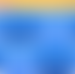 QUIZ THE ROMANS WORDS 