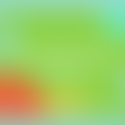 ESERCIZIO LE PAROLE CON C E Q