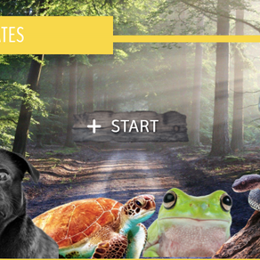 PRESENTATION THE VERTEBRATES