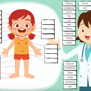 EXERCISE FRONT BODY PARTS