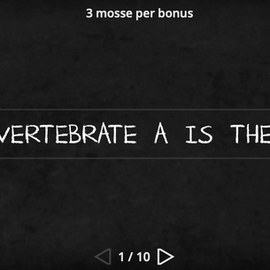 EXERCISE VERTEBRATES AND INVERTEBRATES