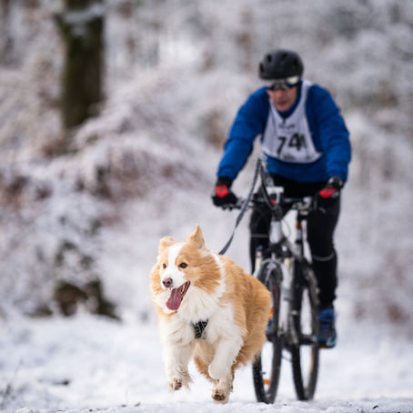 Erfolgreiche Teilnahme an der Speed Hunter Winterseries