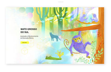 mato grosso do sul - plataforma 02