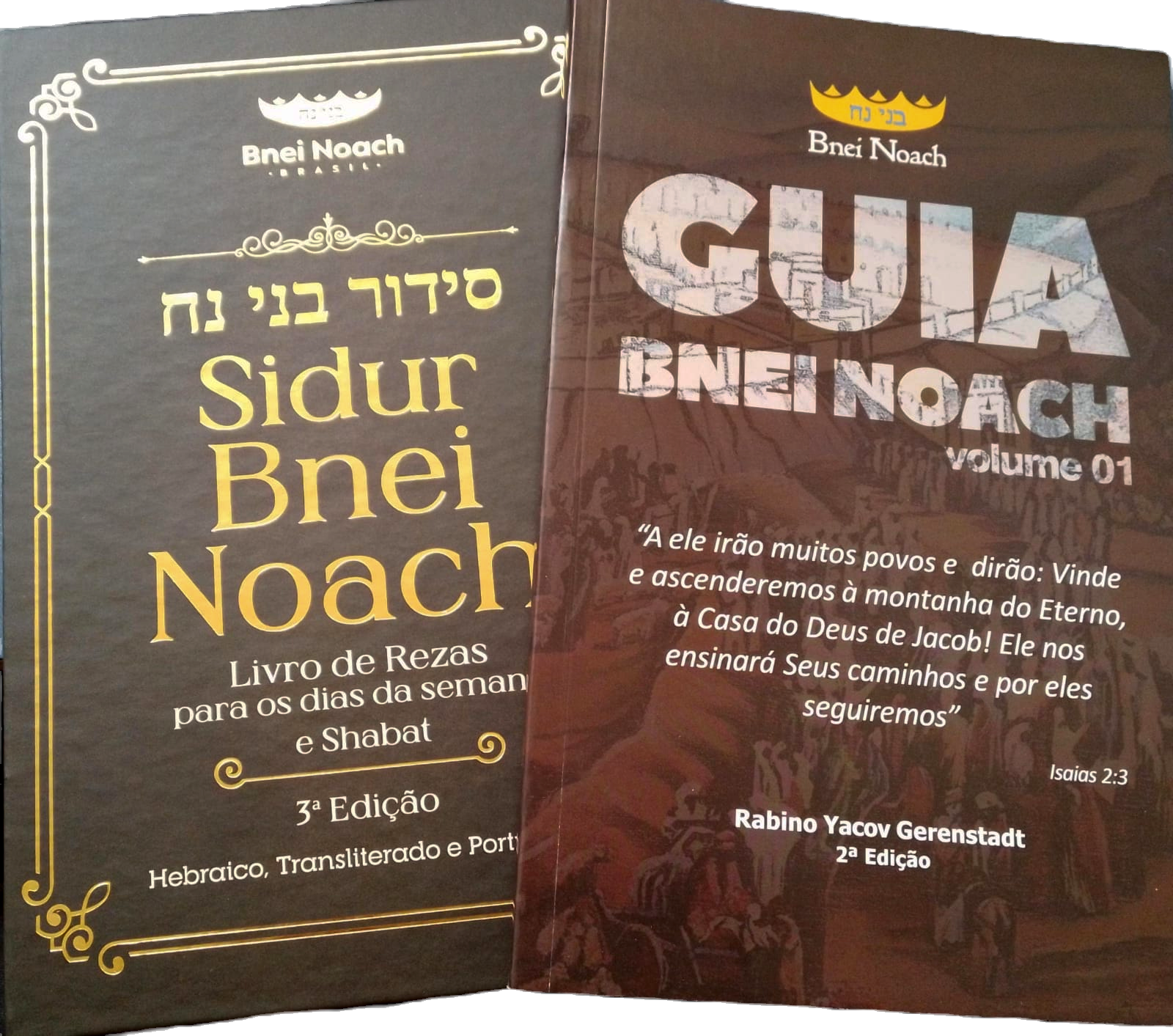 Kit Bnei Noach Básico