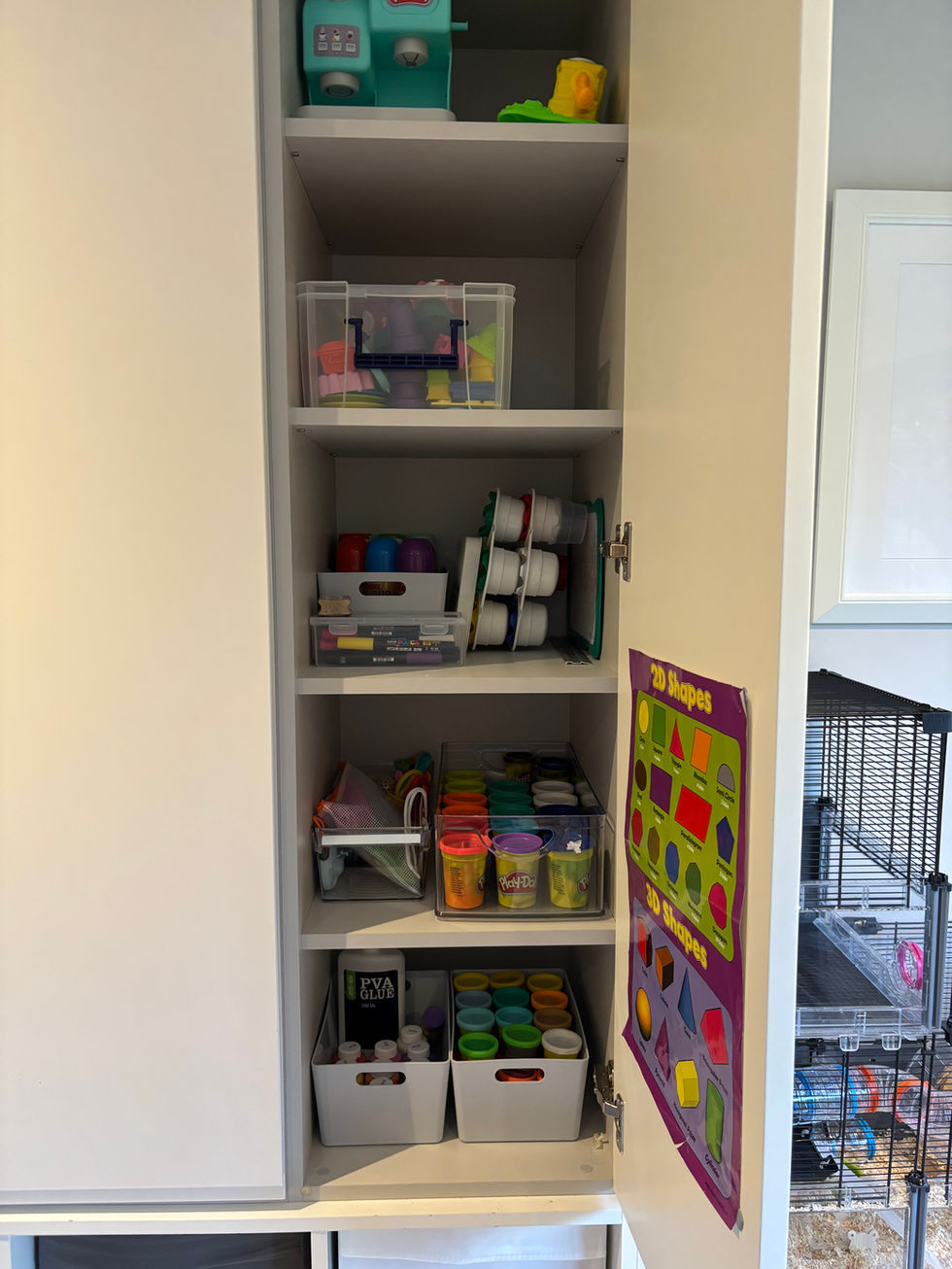 Arts & crafts cupboard