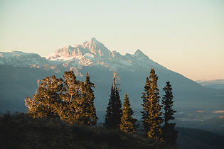 Palisades2 (5 of 36).jpg