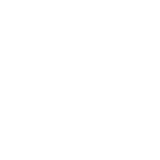 Adinizer Primary Mark_White.png