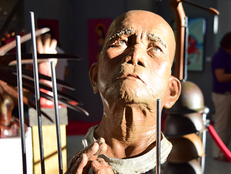 Sintomas: Traveling Exhibit