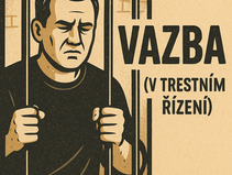 Vazba v trestním řízení