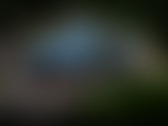 INVELT Rally Pačejov – 1. etapa: Kopecký diktuje tempo, Mareš ve formě, Wagner pod tlakem