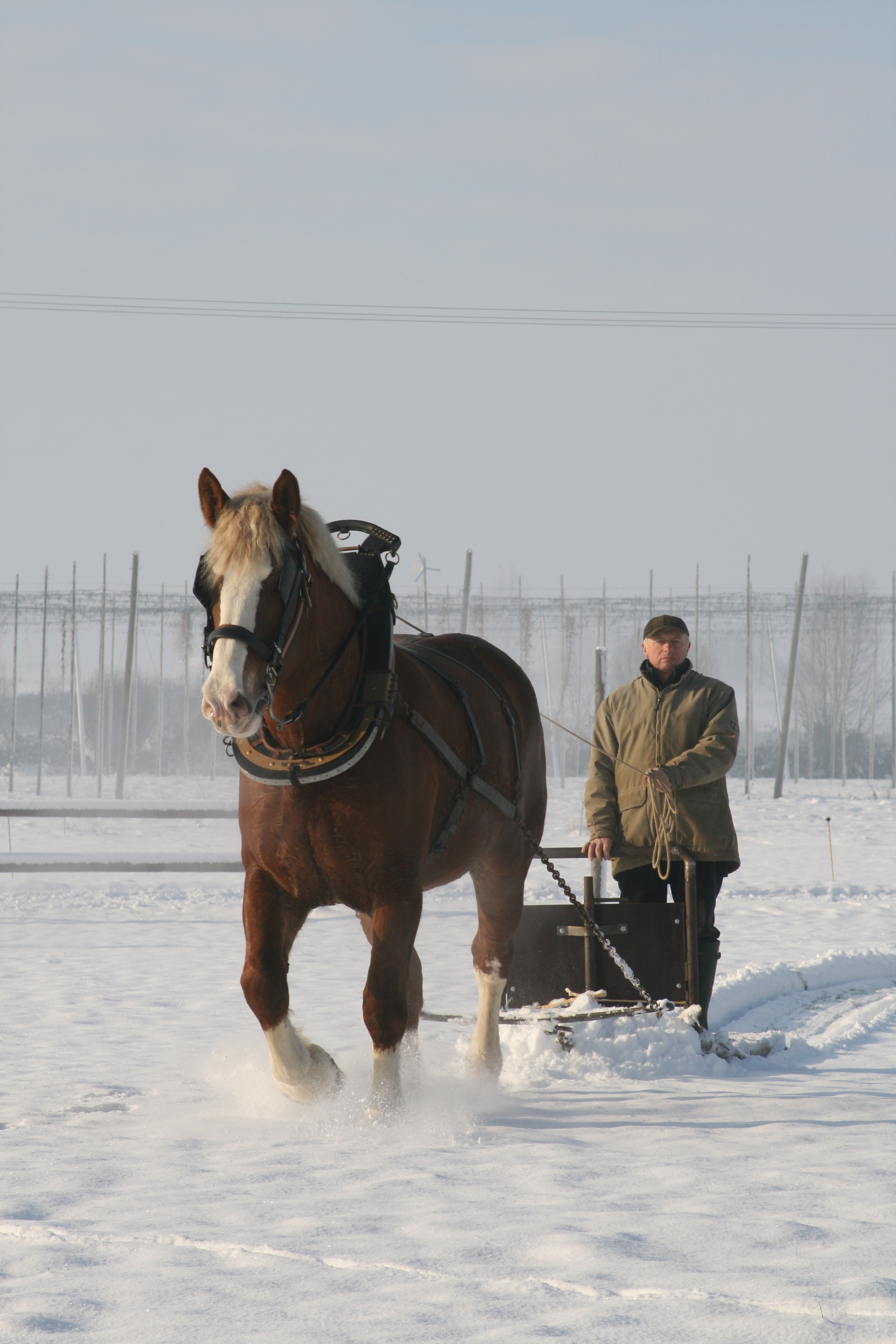 Un bel hiver
