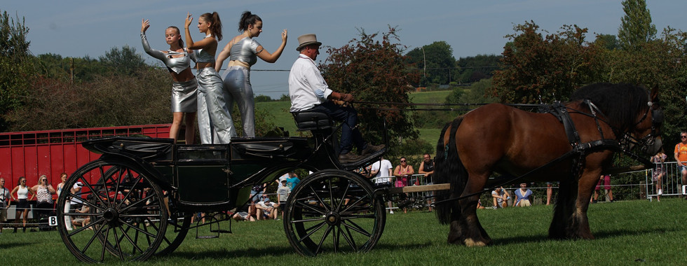 spectacles de chevaux avec les traits de la Famenne et spectacles de chevaux de traits flamands avec