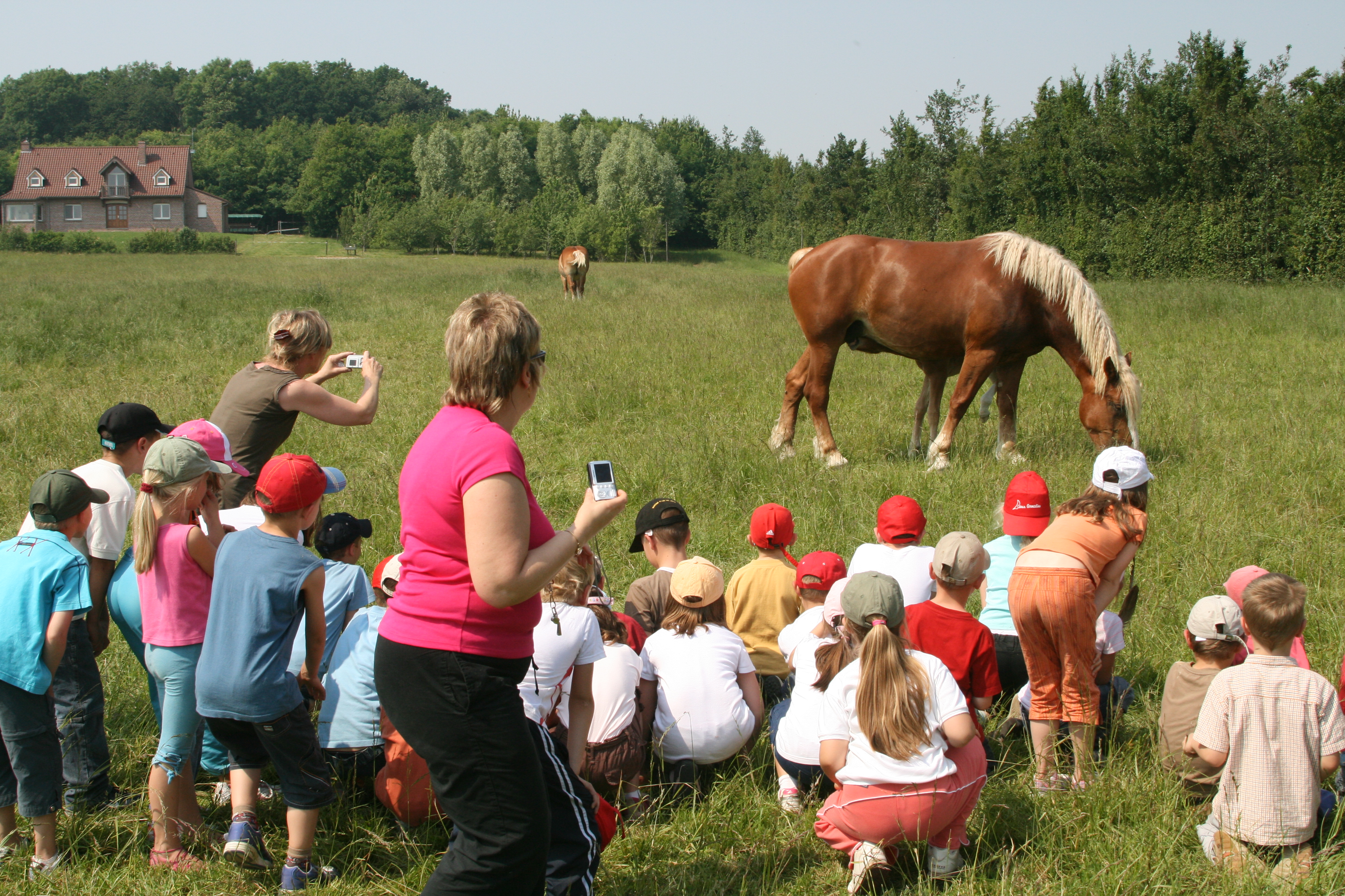 Activités scolaires