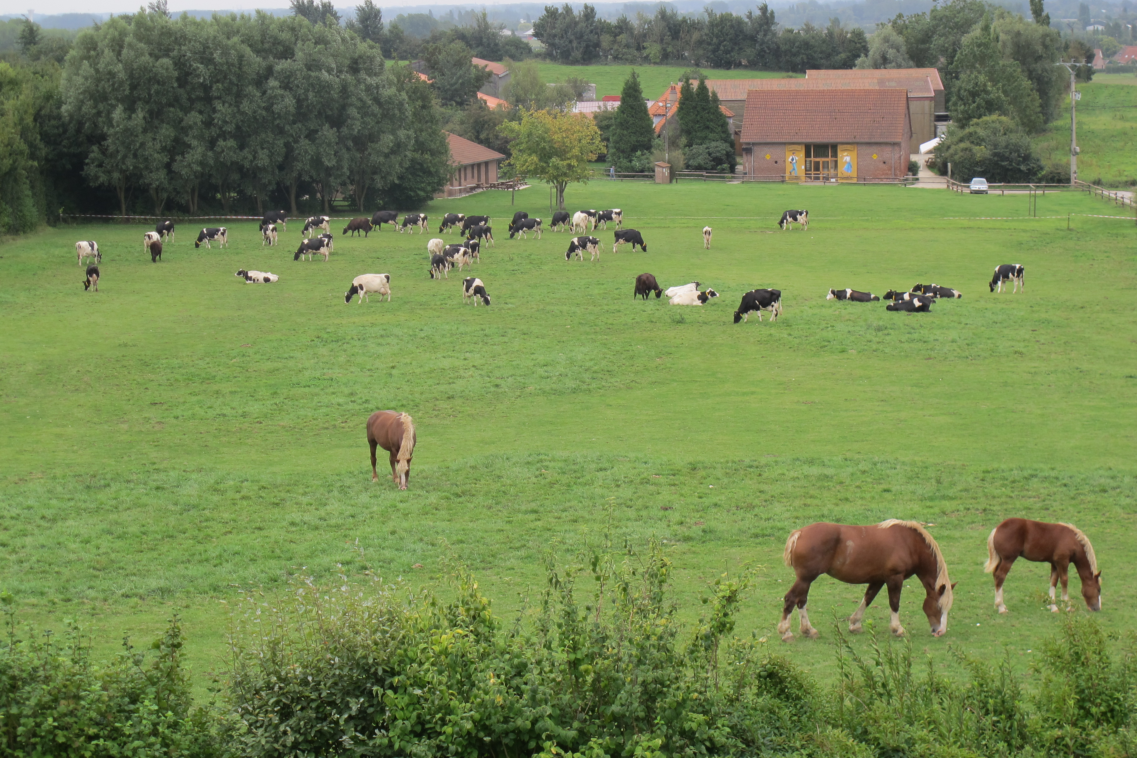 La colline