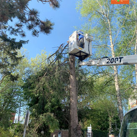 Toujours plus haut :