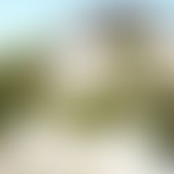 Clôture occultant :