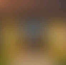 Séjourner près du Domaine de la Sapinière