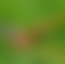 Au retour de vos vacances ? :