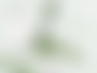 Key Financial Ratios Every Business Owner in the U.S. Should Track