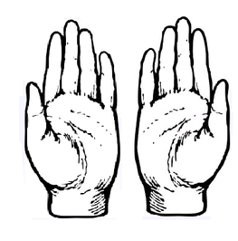 Introduction to Object Oriented Programming (OOP)