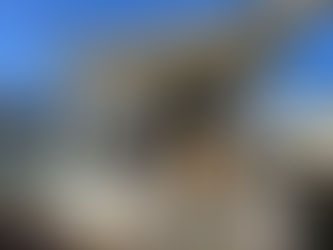 Selling Homes "As-Is" Condition