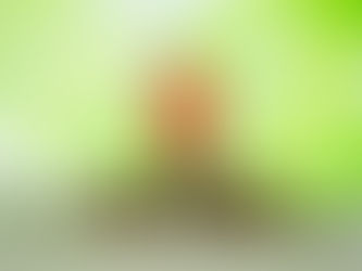 How Foreclosure Affects Your Credit Score and What to Do About It