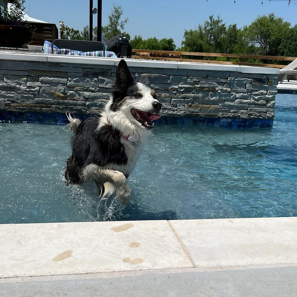 Pool service in Howe