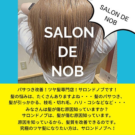 SALON DE NOB