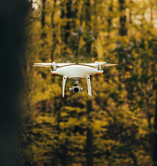 billy-freeman-i8KxoRJ0fIs-unsplash.jpg