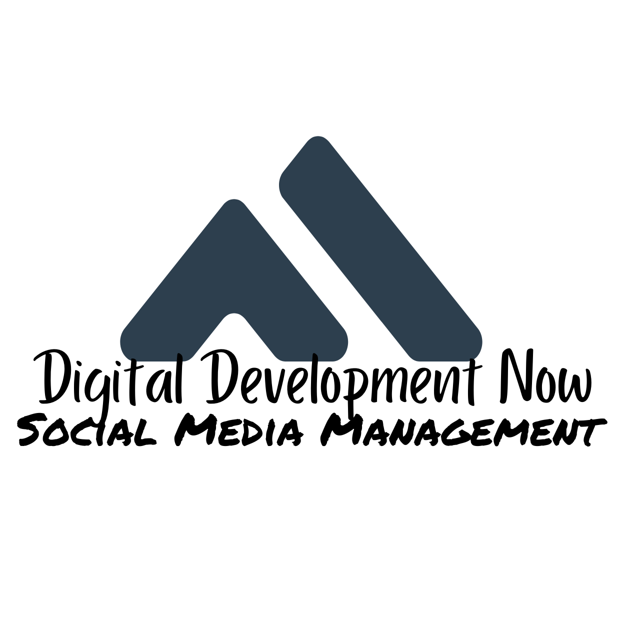 Social Media Manager