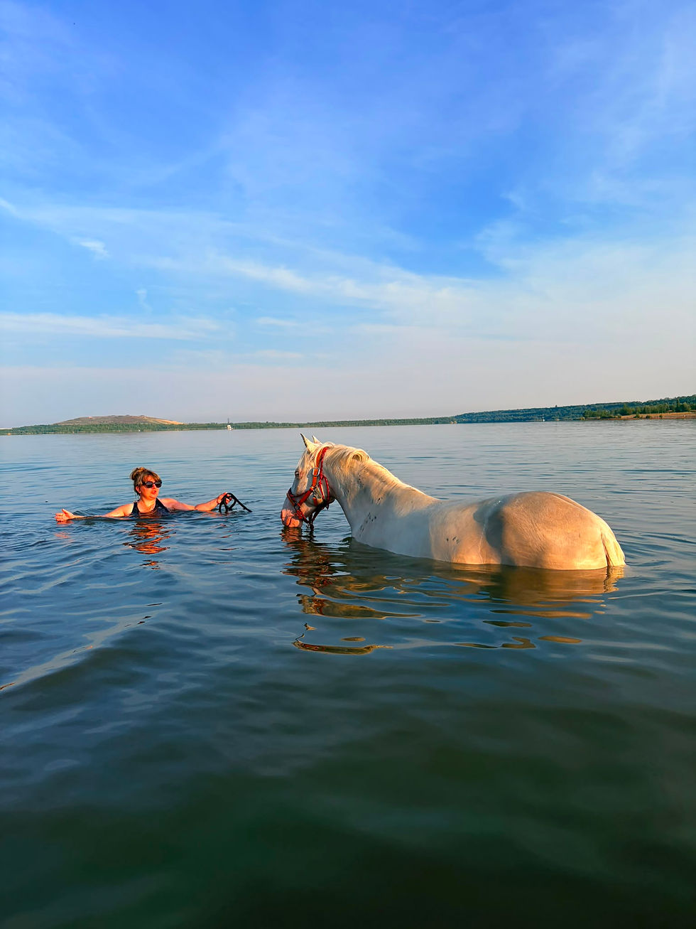 Ein weisses Pferd und ein Mensch im See