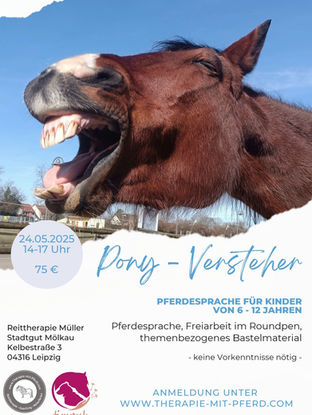 Pferdeflüstern für Kids!