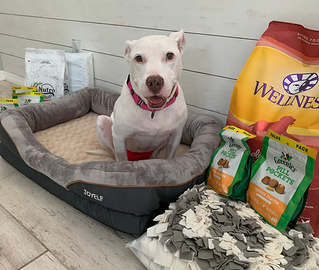 Bella Grace with donated food